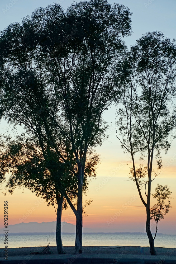 Beach at sunset. Bright colorful sky and silhouettes of pines and eucalyptus trees. Coastline. Evening in September. Greece. Sithonia Beach at sunset. Bright colorful sky and silhouettes of pines and eucalyptus trees. Coastline. Evening in September. Greece. Sithonia