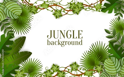 Tropical background with exotic plants and jungle vines, summer nature.