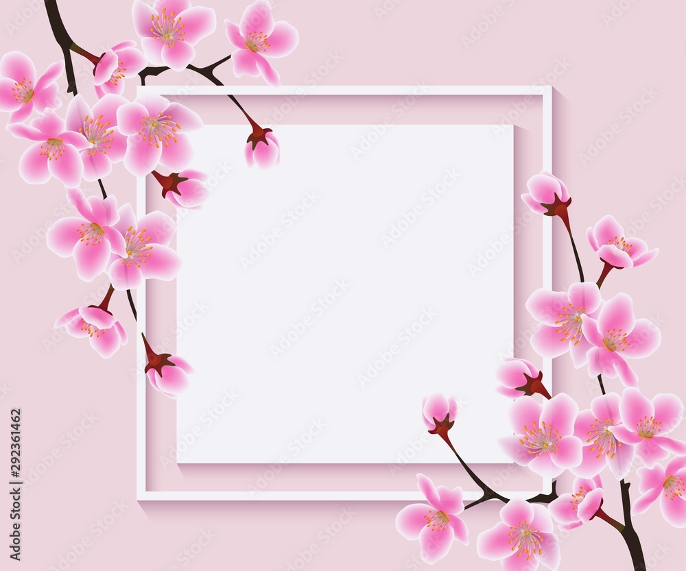 Sakura tree flowers around blank square frame - beautiful ad banner Sakura tree flowers around blank square frame - beautiful ad banner
