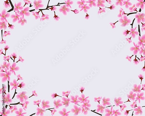 Frame of blossoming sakura branches with blank space.