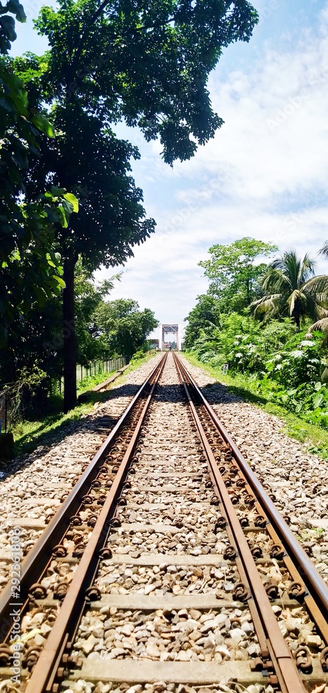 Fototapeta premium railway in forest