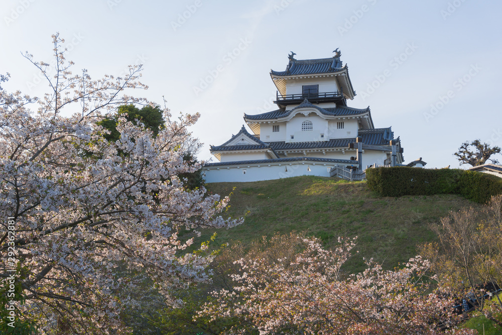 Kakegawa castle with sakura blooming season Kakegawa castle with sakura blooming season