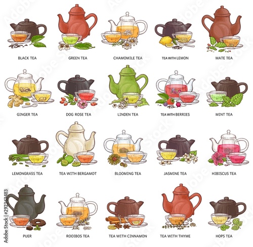 Types of tea - cup and teapot drawing set isolated on white background.