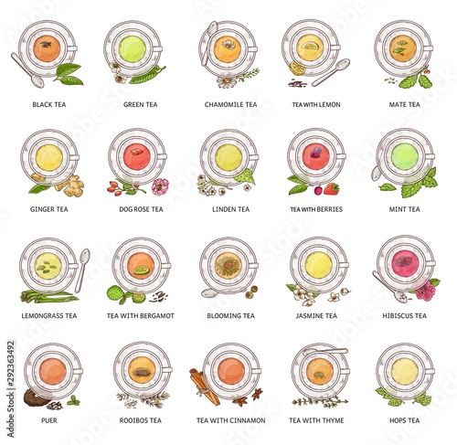Different tea types - vector illustration set. Colorful herbal drink collection