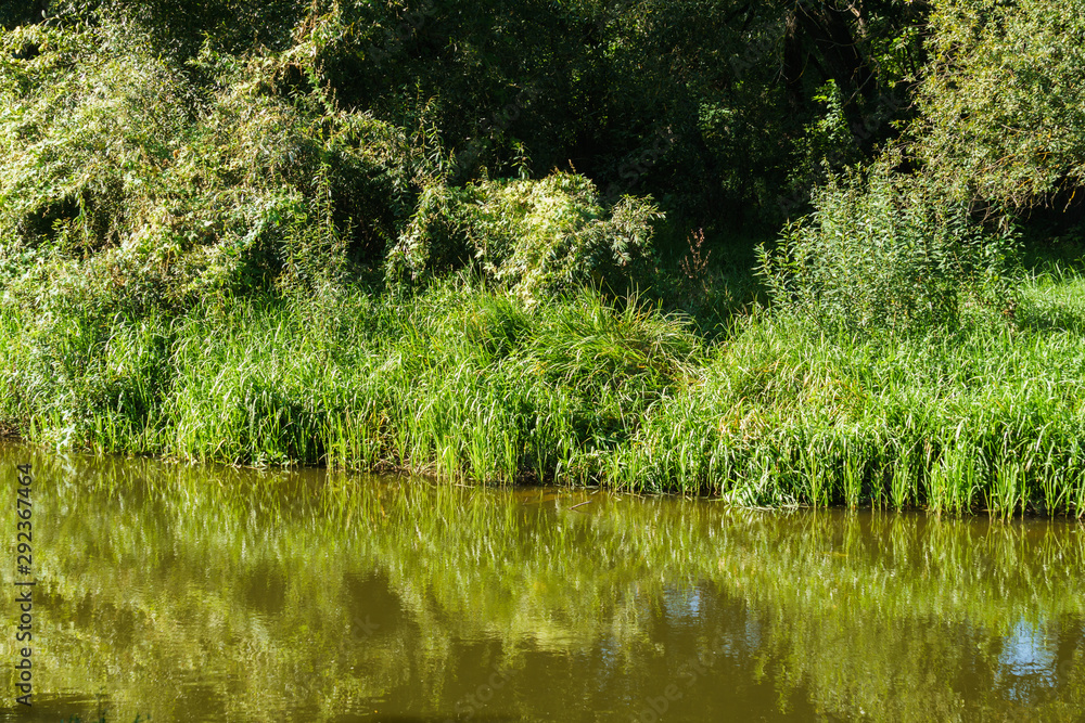 Fototapeta premium View of the river, surrounded by greenery, reflected in the water.