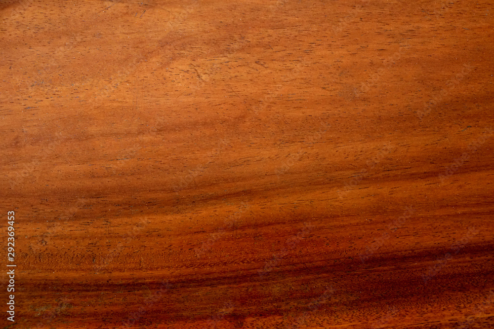 Obraz premium The background material surface grain nature beautiful