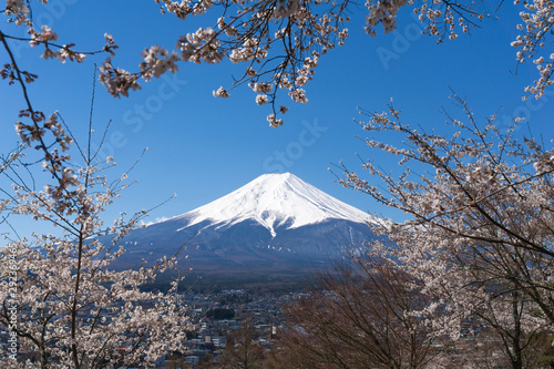Mt.Fuji with sakura blooming season