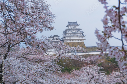 Wallpaper Mural Himeji castle with sakura blooming season Torontodigital.ca