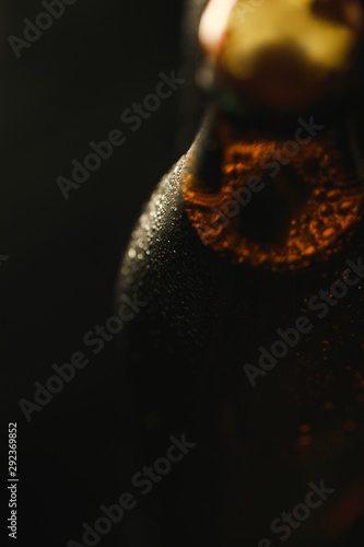 close up view of wet bottle of beer with bubbles isolated on black