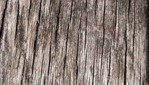 Macro of Wooden plank texture close up