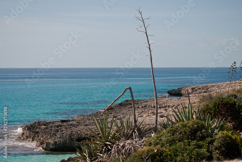Roca y flora de la playa de Punta Prima en Menorca