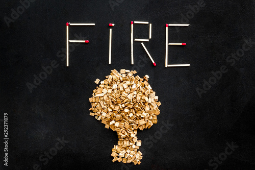 Symbol of fire in woods with tree from kindling and word fire from matches on black background top view