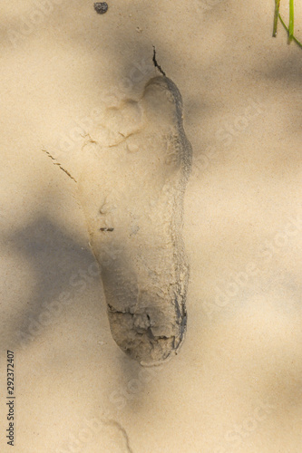 Foot print in cold sand