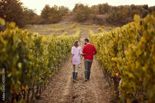 Autumn vineyards. Wine and grapes. couple walking in between rows of vines.