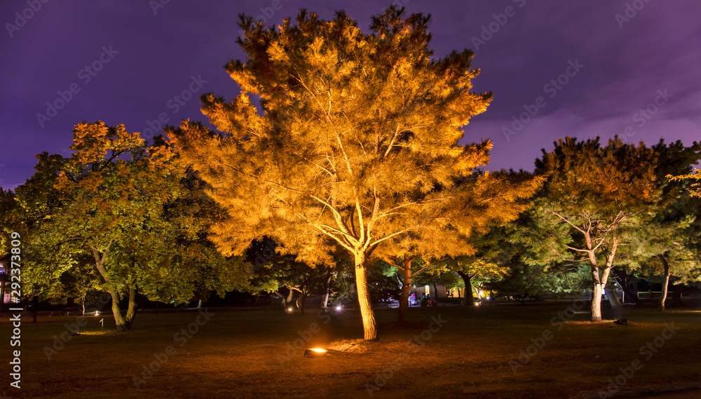 Naklejka premium autumn in the park 