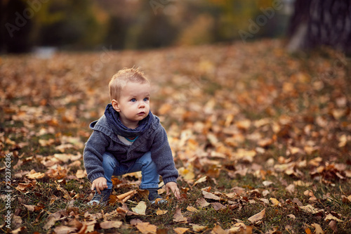 little boy in autumn park. Little boy. Happy childhood. Family