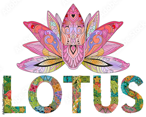 Hand drawn magic flower with high details isolated on white background.