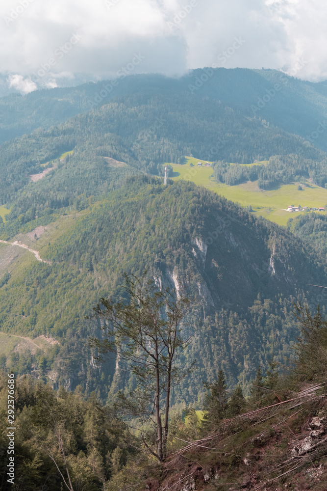 Fototapeta premium Nature lifestyle photographs