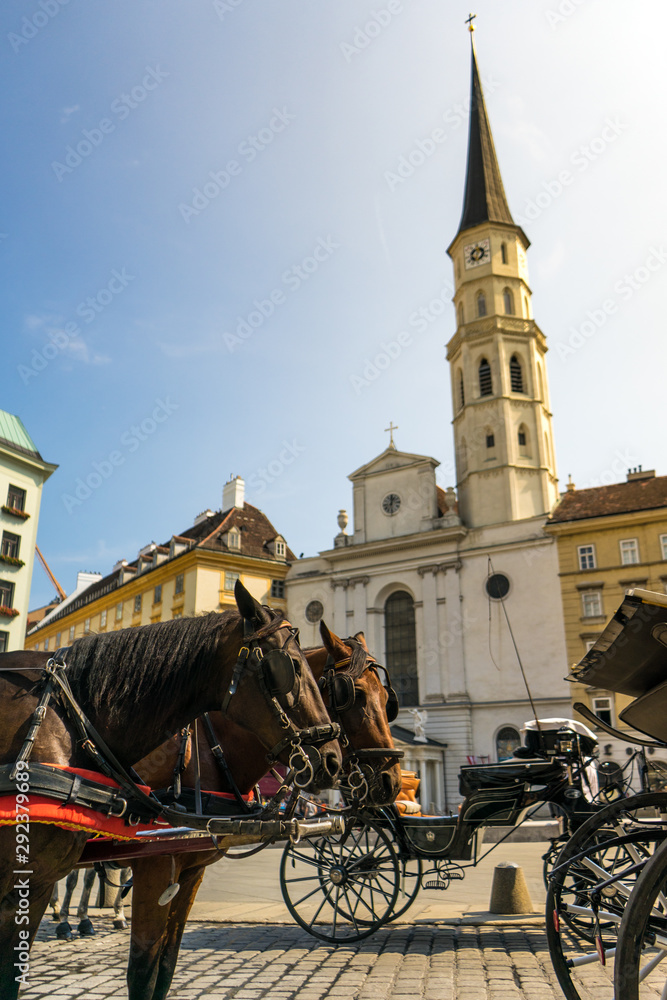 Fototapeta premium St. Michael Church horses at Vienna Austria
