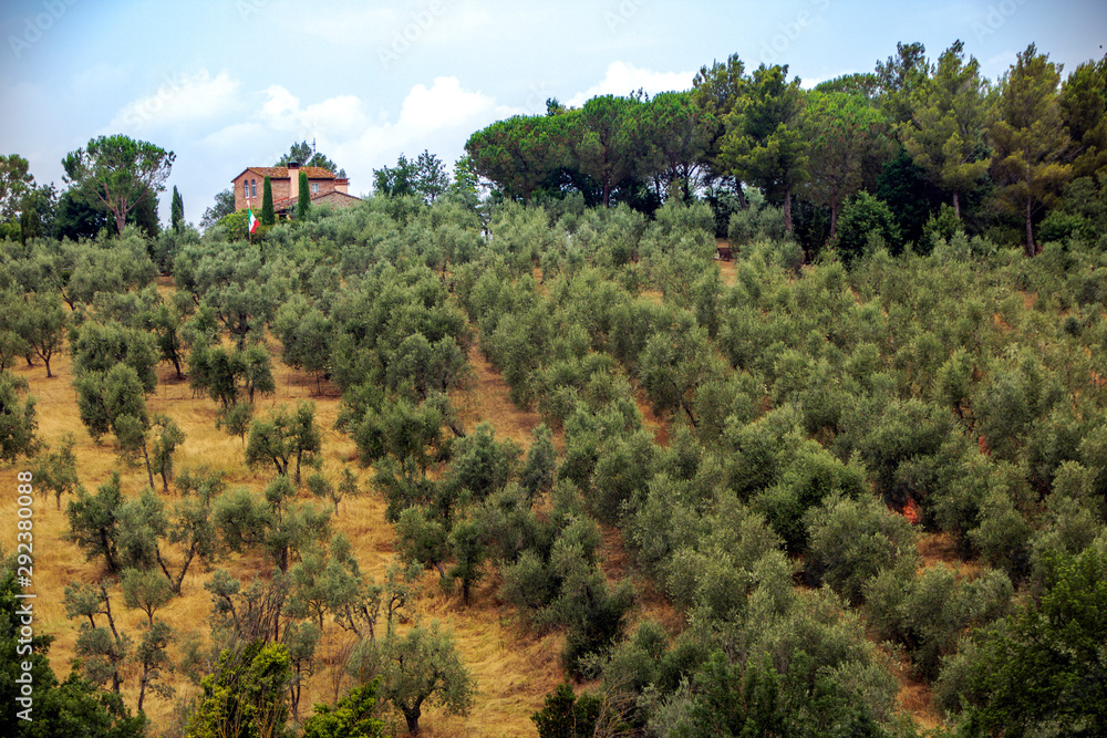 tuscan landscape in summer
