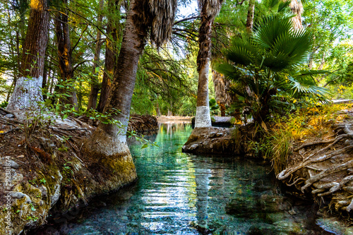Exotic Lagoon in the heart of Mexico