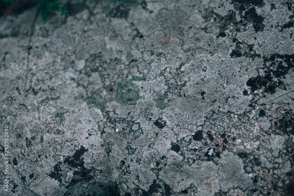 Stone texture. Background with a stone close-up. Drawings on the stone. Gray rock texture, blank layout. Stone texture. Background with a stone close-up. Drawings on the stone. Gray rock texture, blank layout.