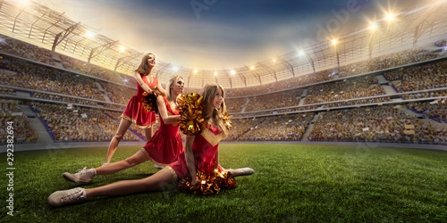 Group of cheerleaders in action on the professional stadium. The stadium and crowd are made in 3d