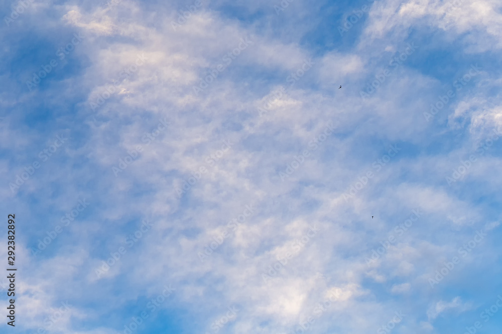 Sunny day on the celestial horizon appeared clouds, harbingers of good weather. Sunny day on the celestial horizon appeared clouds, harbingers of good weather.