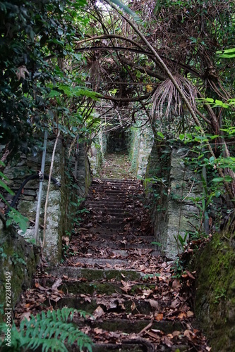 Weg durch einen verlassenen Park 