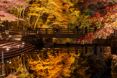 Autumn leaves in Iwayado Park,light up around the bridge and reflect on the river at night time in Japan. photo