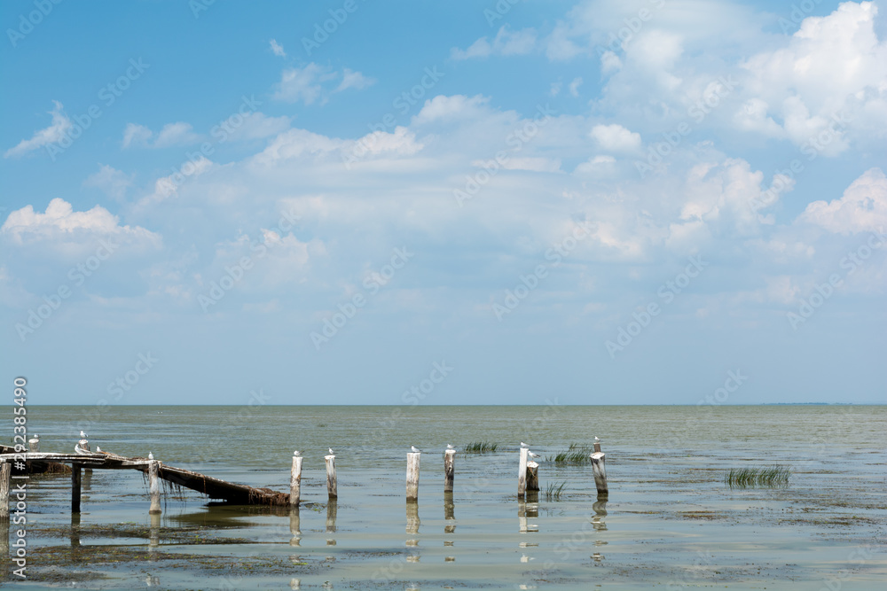 Fototapeta Seagulls sitting on wooden posts in sea beach. Summer seascape.