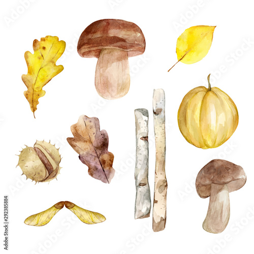 Watercolor autumn leaves or fall foliage icons, mushroom, chestnut, pumpkin, twigs. Vector isolated set of maple, oak, birch tree branch. Illustration for greeting cards, invitations, decorations