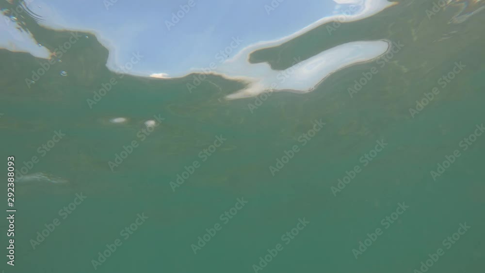Slow motion underwater looking up on bright day Slow motion underwater looking up on bright day