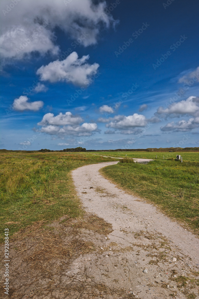 View of path through beautiful national park in the Netherlands on island Texel on a sunny summer day View of path through beautiful national park in the Netherlands on island Texel on a sunny summer day