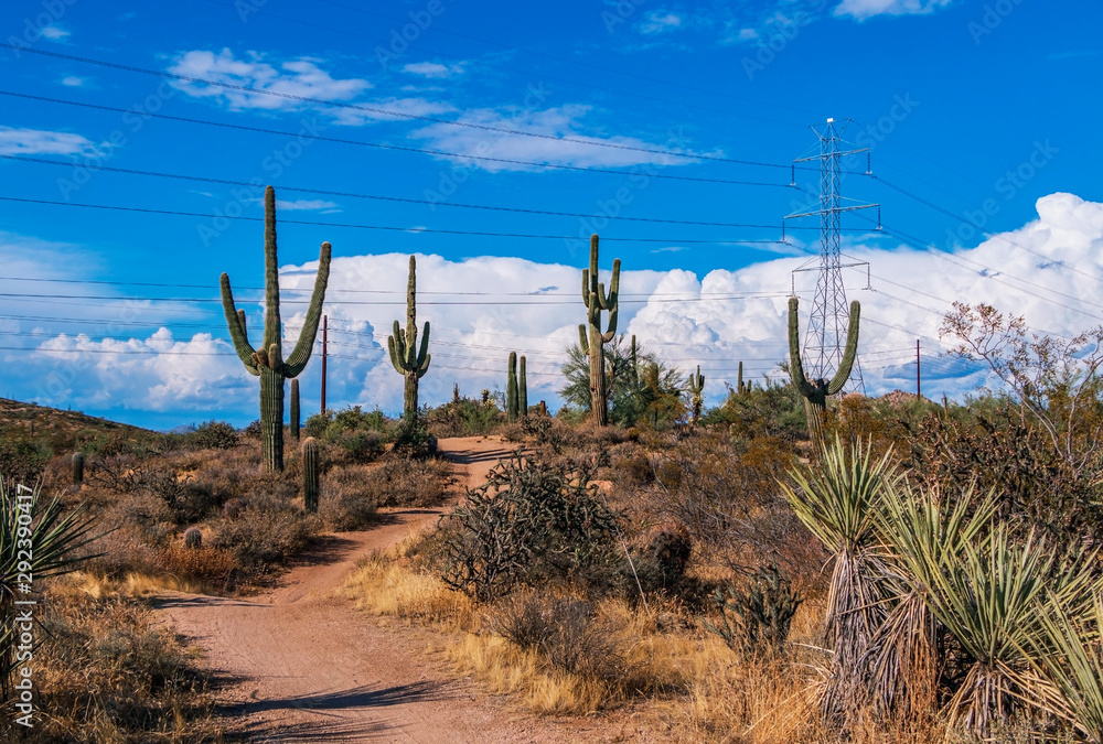 Hiking Trail With Cactus, Clouds, & Power Lines in the AZ Desert
