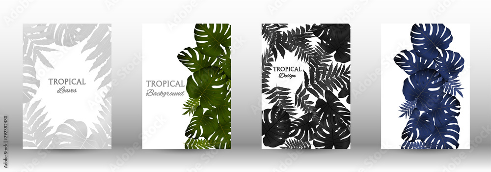 A set of tropic