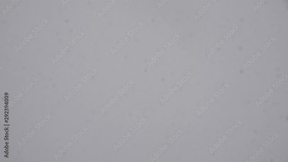 Falling snow on a background of cloudy sky Falling snow on a background of cloudy sky