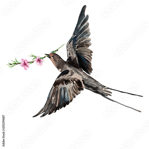Watercolor illustration bird swallow with branch cherry.