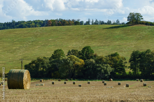 Rolled haystacks in field in early autumn