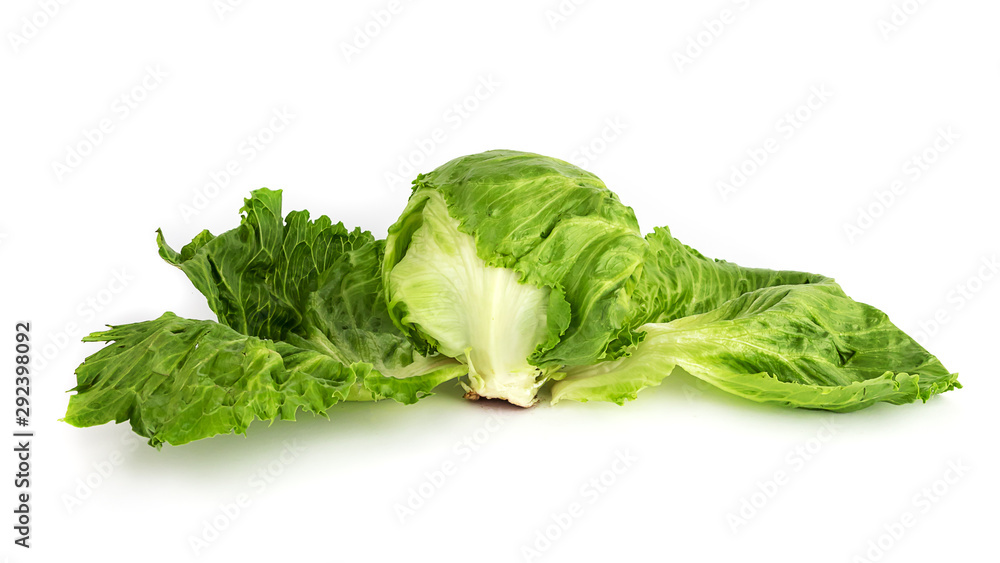 Close-up iceberg lettuce cabbage with big green salad leaves isolated on white background Close-up iceberg lettuce cabbage with big green salad leaves isolated on white background