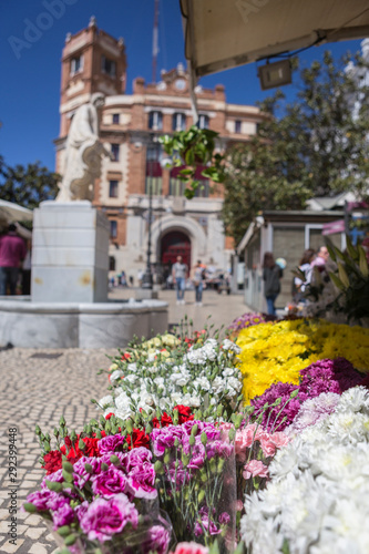 Cadiz flower market (Plaza de las Flores aka Plaza de Topete), with statue and main Post Office behind, take in Cadiz, Andalusia, Spain © Felipe Caparrós