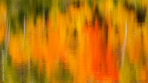 Autumn maple trees reflections in water