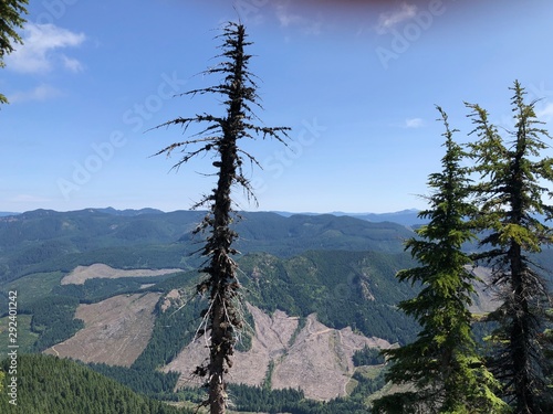 Rooster Rock Mountain Trail Oregon Cascades photo