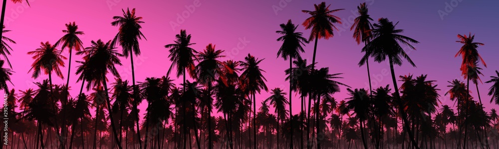 Beautiful palm trees against the sunset sky.  - obrazy, fototapety, plakaty 