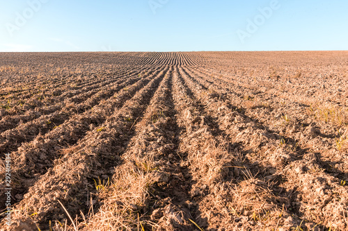 Tela Furrows on the field after harvesting