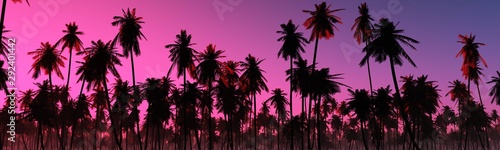 Beautiful palm trees against the sunset sky. 