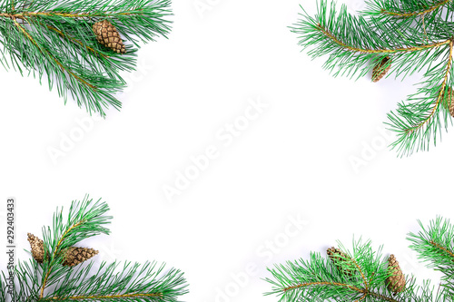 Top view on Christmas green framework. Tree pine or spruce branches with cones isolated on white background with copy space for text