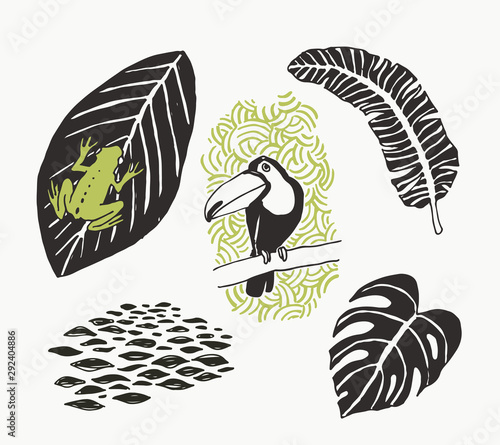 Vector set of tropical natural elements isolated on white. Sketches with toucan, frog and leaves. Details of Nature of South America