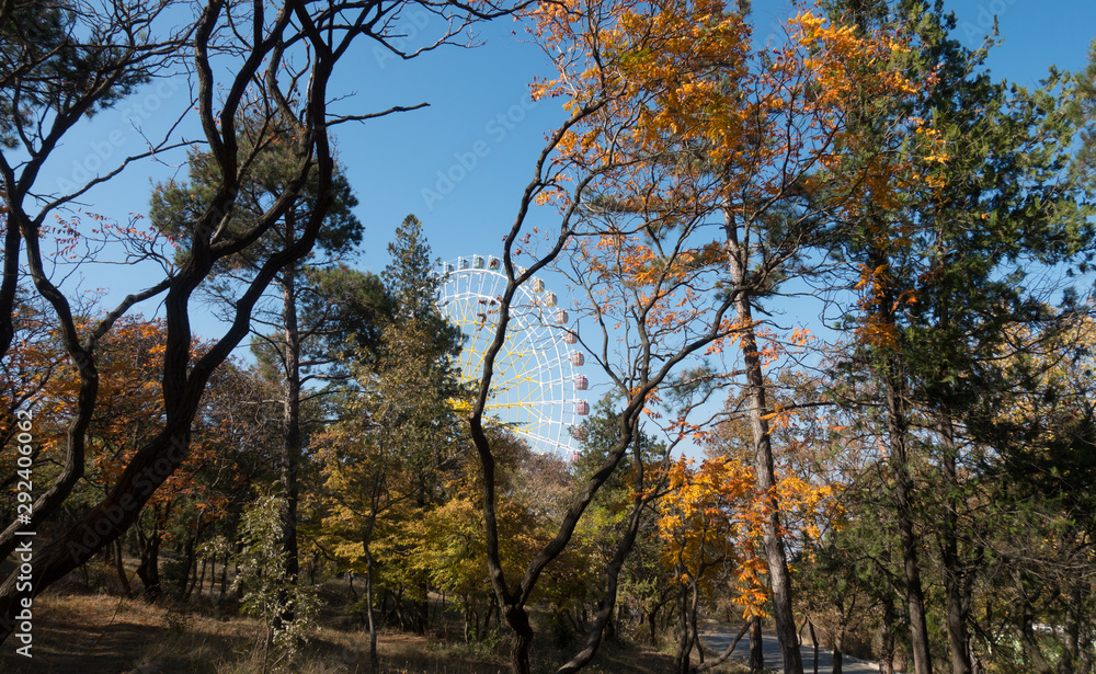 Hilltop autumn park with city view and amusement park Hilltop autumn park with city view and amusement park