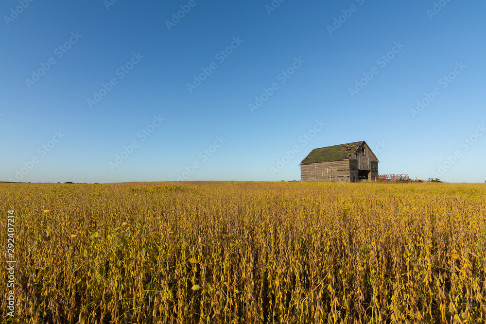 Midwest farmland